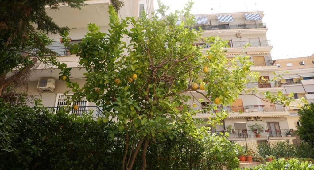 House With Garden And Parking Space In Mergellina Napels Buitenkant foto