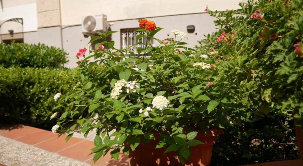 House With Garden And Parking Space In Mergellina Napels Buitenkant foto